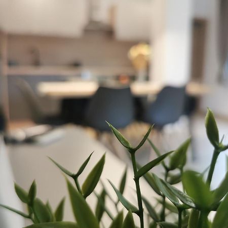 Apartma Bella Nadiza Kobarid Luaran gambar