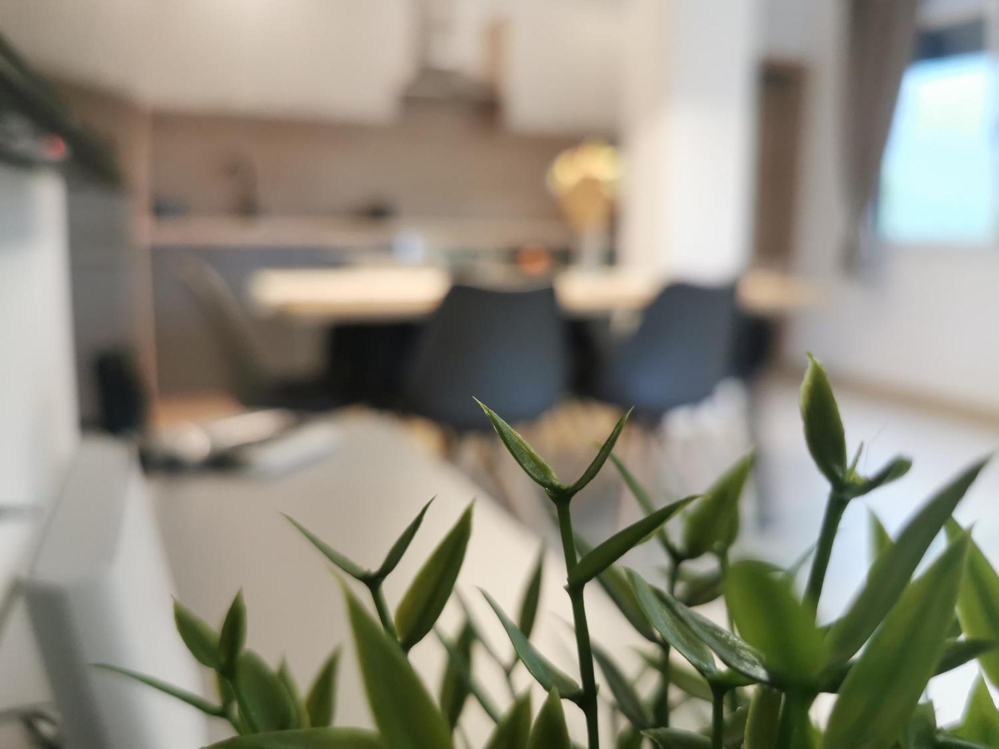 Apartma Bella Nadiza Kobarid Luaran gambar